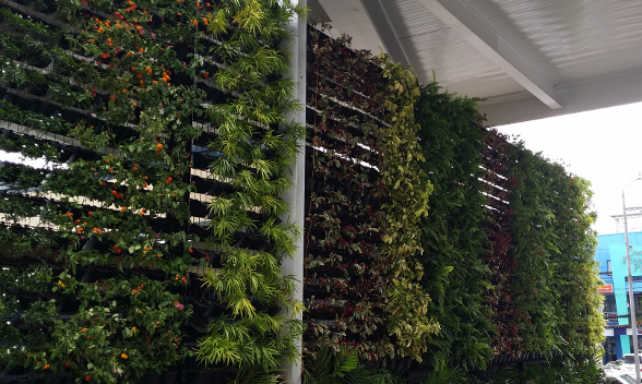 Ortigas greenwall / vertical garden using VF-1