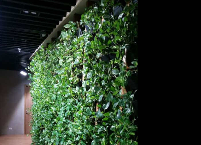 Vertigrow Grow Lights Site