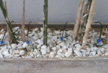 Irrigation