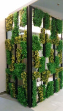 artificial plants in luk foo makati